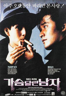 宠物温情电影
